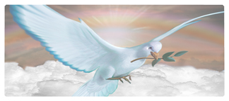 DNSEMP-L-116-D-BZ Dove Clouds Bronze